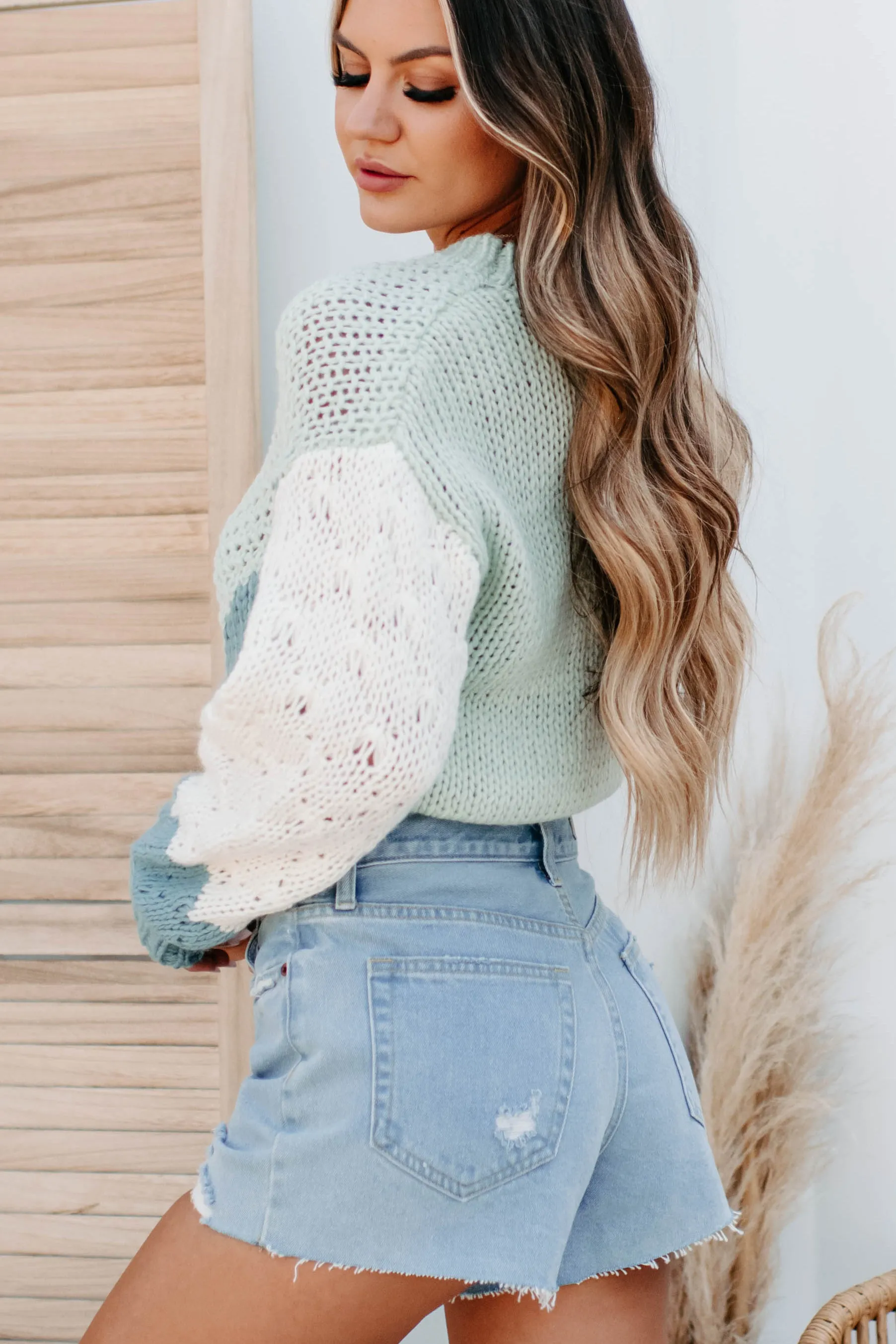 Calm Winter Chunky Colorblock Sweater (Sage Multi)